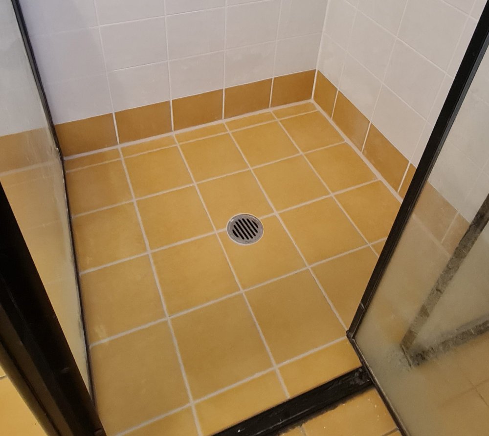 shower after grouting